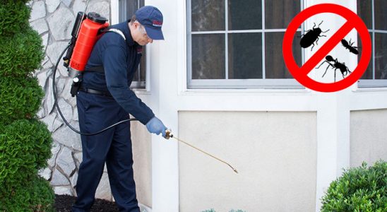 Göztepe Böcek İlaçlama böcek ilaçlama ve haşere kontrolü — ilaclama-tr.com